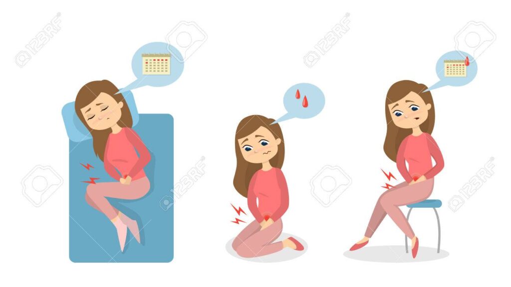 Como Aliviar El Dolor Menstrual De Mi Perra